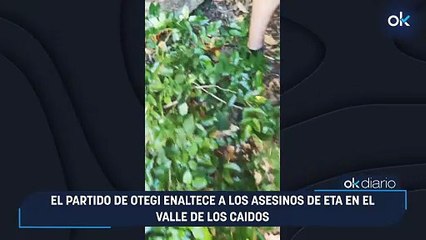 El partido de Otegi enaltece a los asesinos de ETA en el Valle de los Caidos