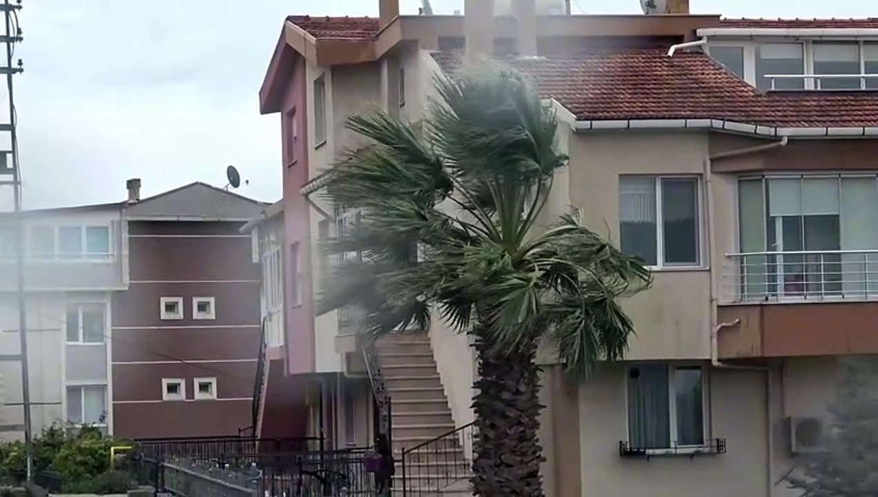 Fırtına uyarısı üzerine gemiler Sinop limanına demirledi