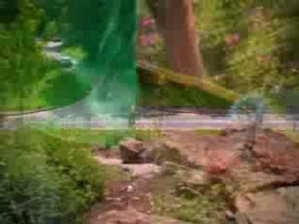 Video_Adam_jones.bsv07