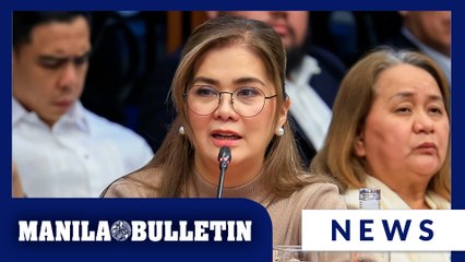 WJ Construction's Mina Jose admits visiting Erwin Tulfo's office for a project