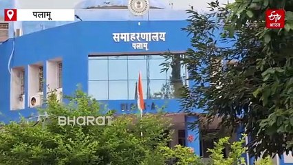 खास है पीटीआर के बांस का जंगल, पहले खूब होता था कारोबार, हाथियों से है खास जुड़ाव