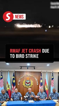 Bird strike on runway caused fighter jet crash, Air Force inquiry finds