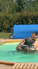 Dog Accidentally Falls Into Pool While Following Owner