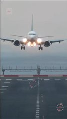 Mistaken as His Mate: The Luna’s Regret