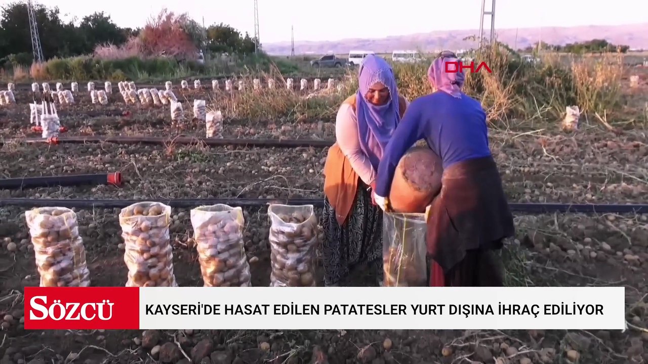 Kayseri'de hasat edilen patatesler yurt dışına ihraç ediliyor