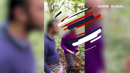Kadın kılığındaki baba oğula suçüstü... Samsun'da fındık bahçesinde yaşandı!