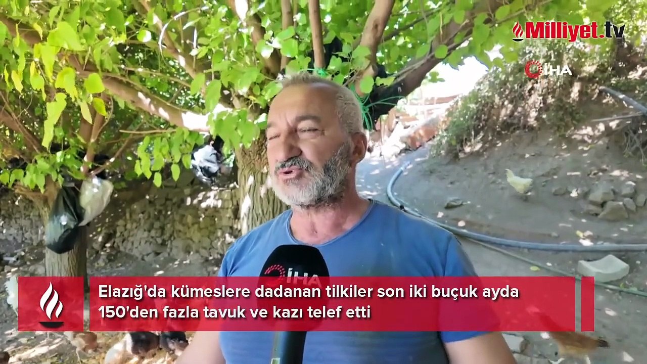Bir aile kabusu yaşıyor! Gece gündüz nöbet tutuyorlar: 'Evin önüne kadar gelmişler'