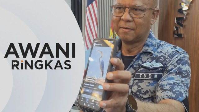 AWANI Ringkas: Bird strike punca Hornet terhempas