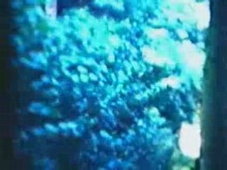 .l'ex train bleu.a blegny mine / zocaro TV