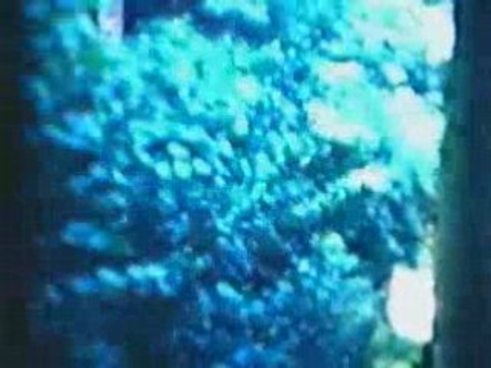 .l'ex train bleu.a blegny mine / zocaro TV