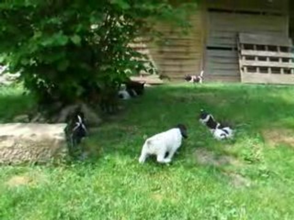2008_0520DLetKLM0001