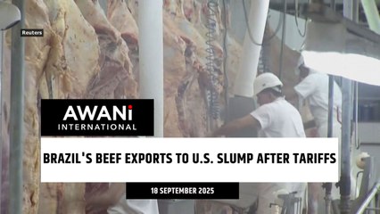 Brazil's beef exports to U.S. slump after tariffs