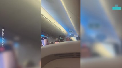 Two Passengers in Fierce Confrontation on Plane Blur
