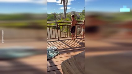 Young Boy Overjoyed as Aunty Surprises Him After Years Apart