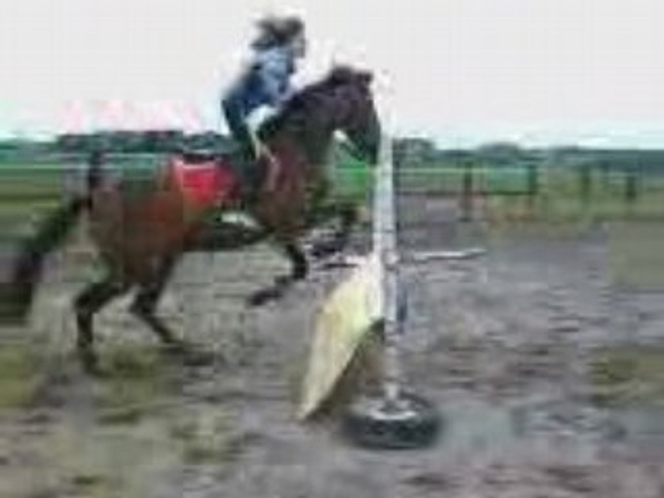 VID016