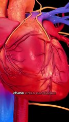 Comprendre le syndrome du cœur brisé : causes, symptômes et traitements 💔