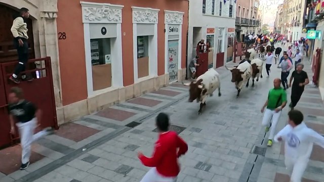 El primer encierro con toros en puntas por el casco Guadalajara concluye sin incidentes