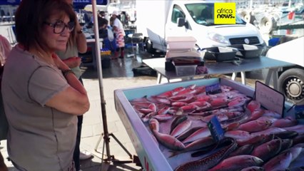 Maroc : pénurie de sardines sur les marchés français