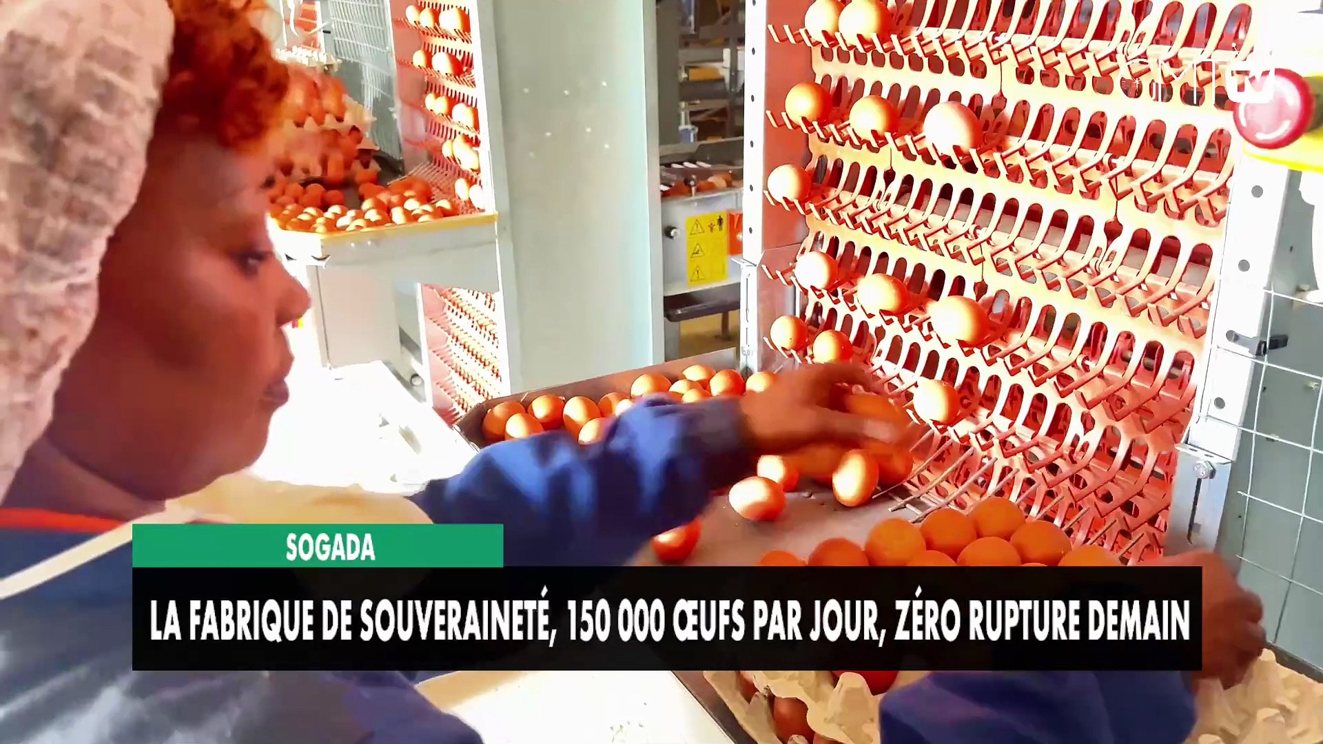 [#Reportage] SOGADA : la fabrique de souveraineté, 150 000 œufs par jour, zéro rupture demain