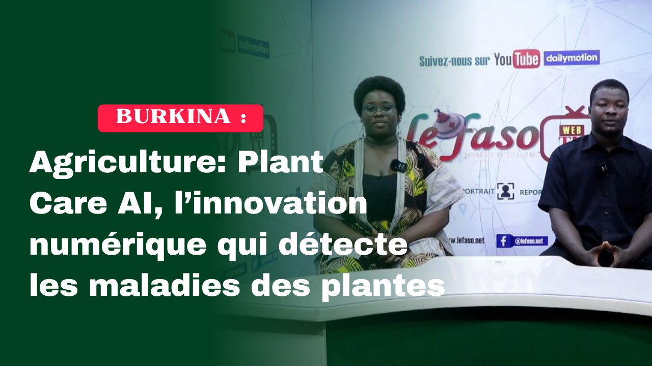 Burkina Faso / Agriculture : Plant Care AI, l’innovation numérique qui détecte les maladies des plantes