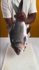Fish Kabab | Fish Kabab Fry | Fish Kabab Recipe | fish upon the sky ep 1  fish tank  even shrimps want to fish for sea bream  fish  the mistaken pearl as fish eye  fish upon the sky  long for fish  pawn stars s15 big fish in a small pawn  fish hooks  bana
