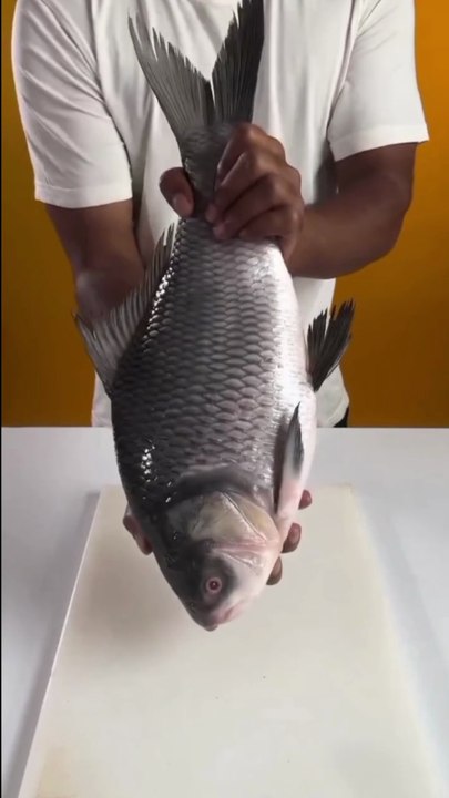 Fish Kabab | Fish Kabab Fry | Fish Kabab Recipe | fish upon the sky ep 1  fish tank  even shrimps want to fish for sea bream  fish  the mistaken pearl as fish eye  fish upon the sky  long for fish  pawn stars s15 big fish in a small pawn  fish hooks  bana