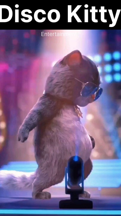 The Coolest Cat You'll Ever See Steals the Spotlight