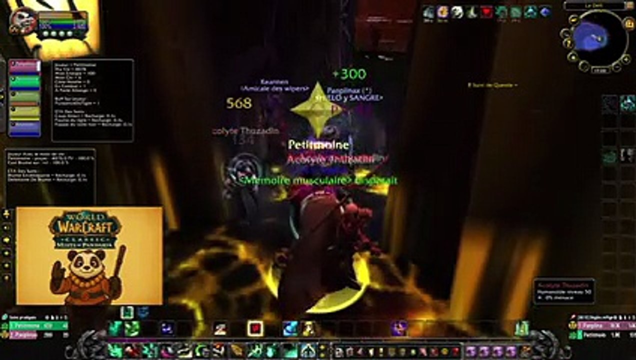 WoW PtiPanda [44] - Une surprise de taille !