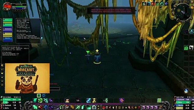 WoW PtiPanda [53] - Je ne referai plus jamais ça !