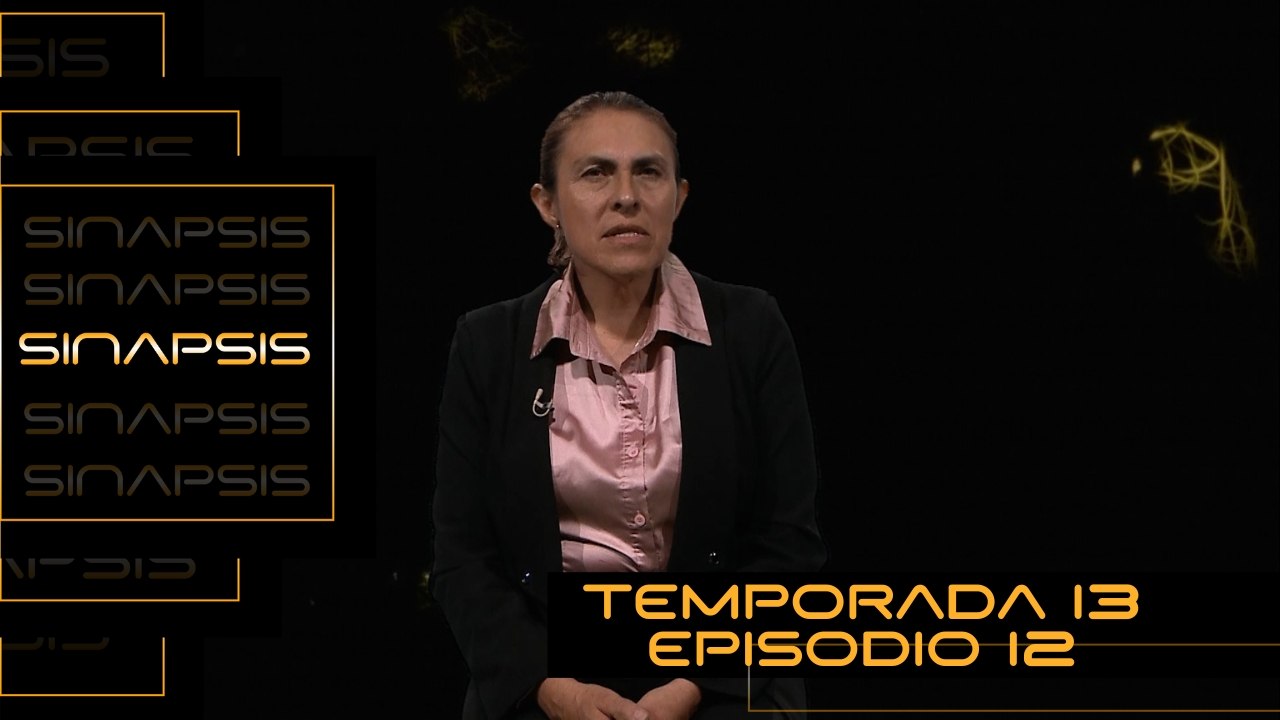 T13 Ep. 12 Sinapsis | Etiquetamiento social