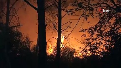 Antalya’da ormanlık alanda büyük yangın