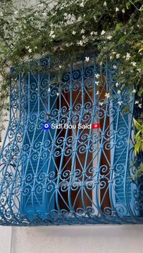 🧿 Sidi Bou Saïd 🇹🇳