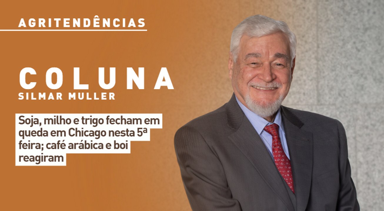 Soja, milho e trigo fecham em queda em Chicago nesta 5ª feira; café arábica e boi reagiram