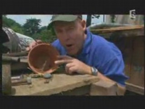 Les plus grands insectes au monde 2