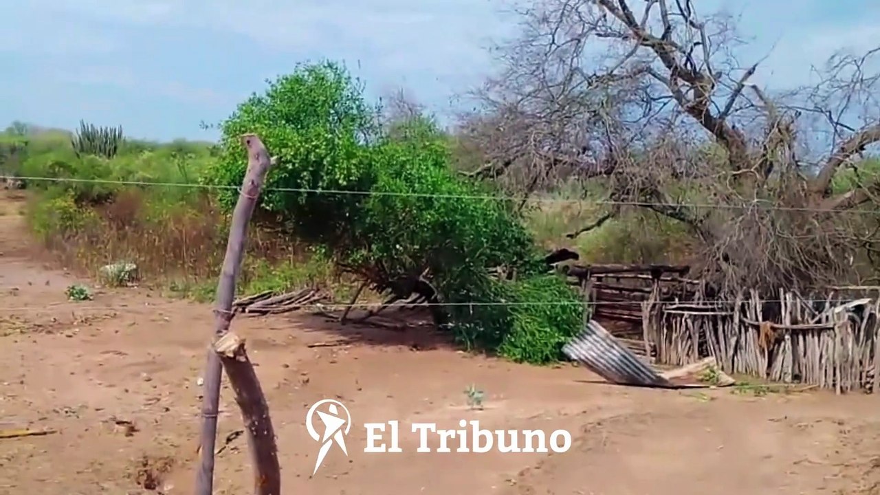 Intensa tormenta con granizo azotó parajes de Rivadavia Banda Norte