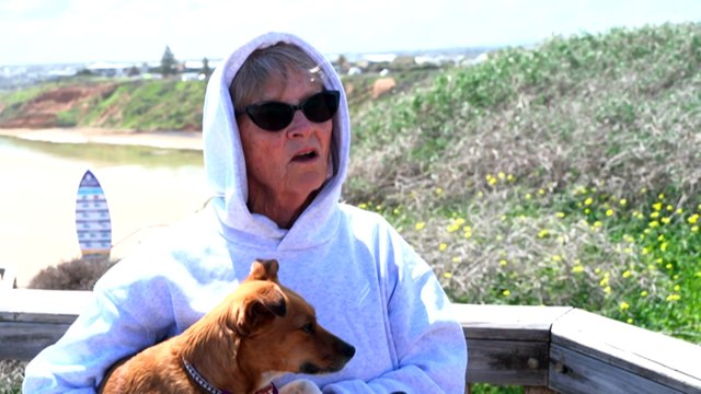 Henley residents advised to keep windows, doors closed amid algal bloom crisis