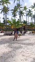 CABEZA DE TORO PUNTA CANA REGION ESTE REPUBLICA DOMINICANA