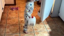 Kids Funny Video 😂😂