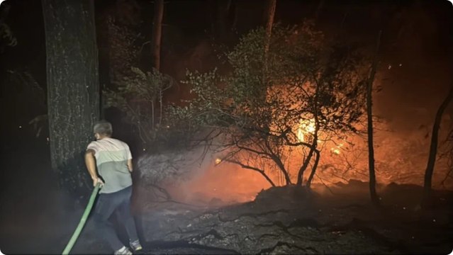 Muğla'da 4 farklı noktada orman yangını