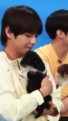 #BTS enjoying with puppies 😭💓
