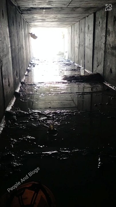 🔥Hard Work Always Pays Off 💪 | Malaysia Vlog #Shorts.No Shortcut to Success 🌟 | Malaysian Motivation”📖✨🎯#Malaysia #MalaysiaBlog #Shorts #HardWork #Motivation #Trending #Viral #DailyLife #Success #Inspiration #Lifestyle #MalaysiaVlog