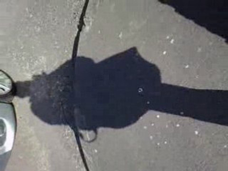 Shadow