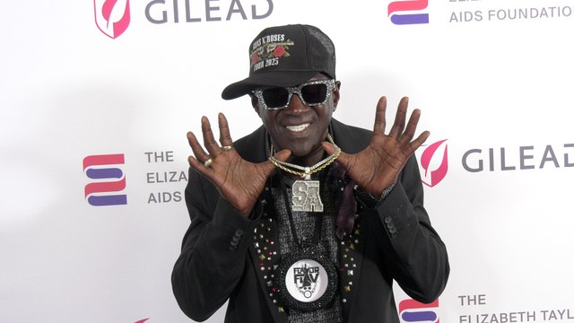 Flavor Flav attends The Elizabeth Taylor Night of Compassion purple carpet