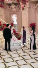 藏在婚纱里的秘密（61集）——林鹿与杨北川的浪漫爱情故事 💍