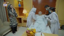 Sher - Episode 33 ｜Danish Taimoor ｜ Sarah Khan ｜ 11-Sept- 2025