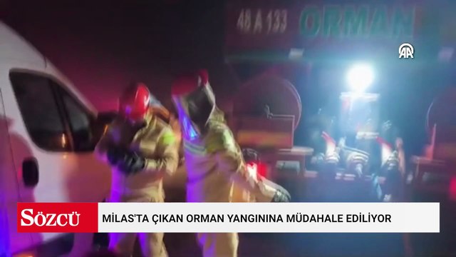 Milas'ta çıkan orman yangınına müdahale ediliyor