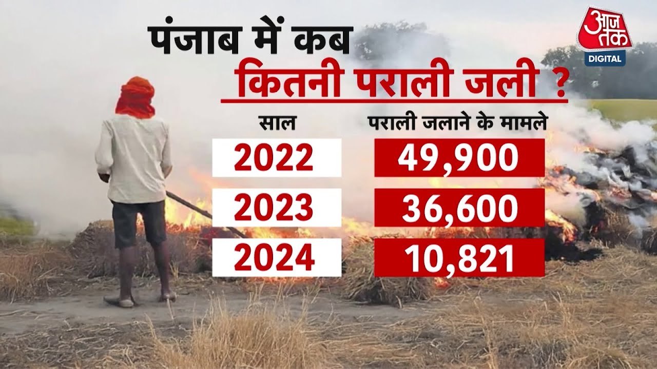 पराली को लेकर SC ने मान सरकार को क्यों फटकारा,...