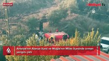 Alanya ve Milas'ta orman yangını! Alevlere karşı zamanla yarış