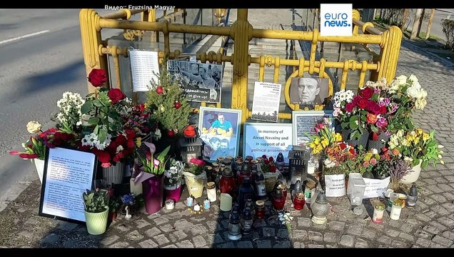 В Будапеште сменят стихийный мемориал памяти Навального постоянным