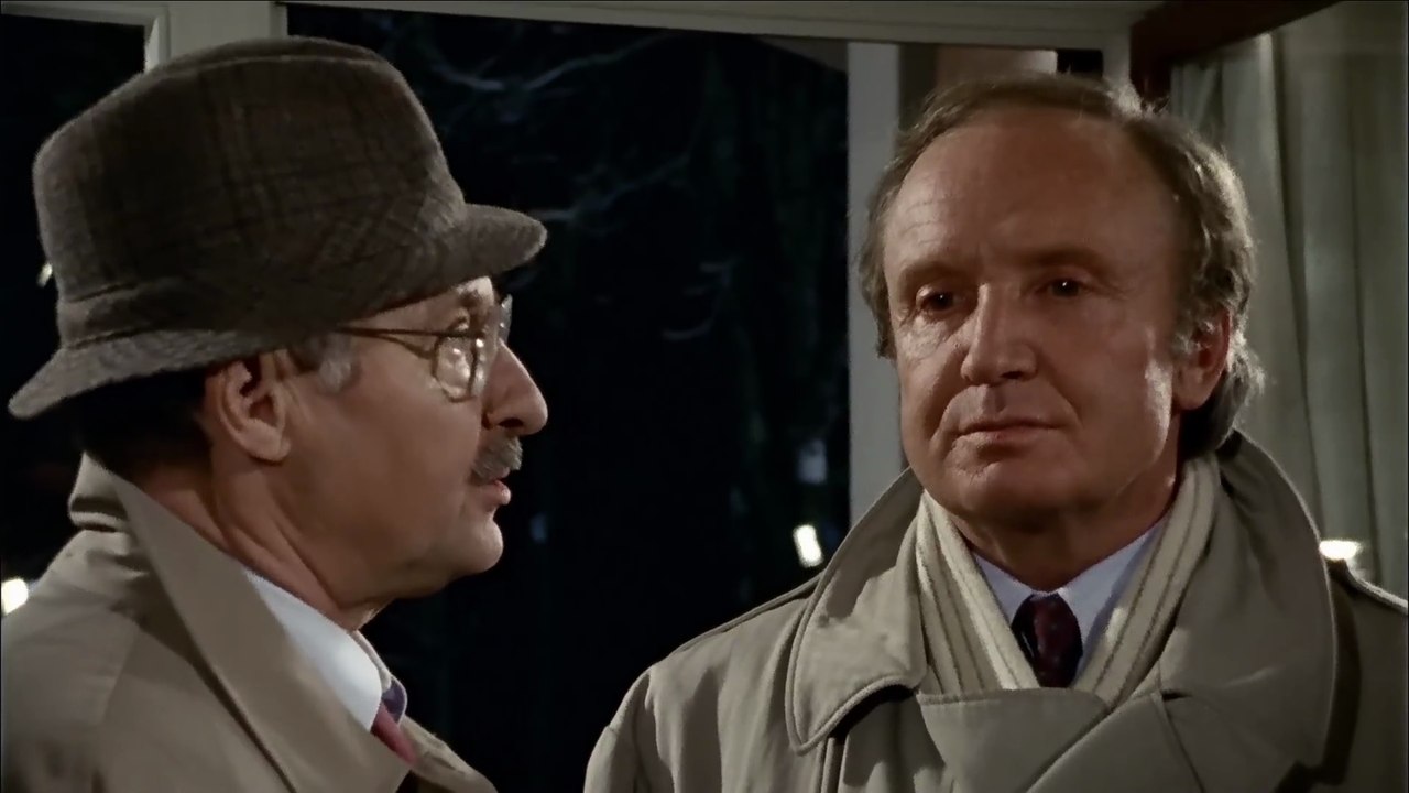 Der Alte - Folge 107 - Killer gesucht